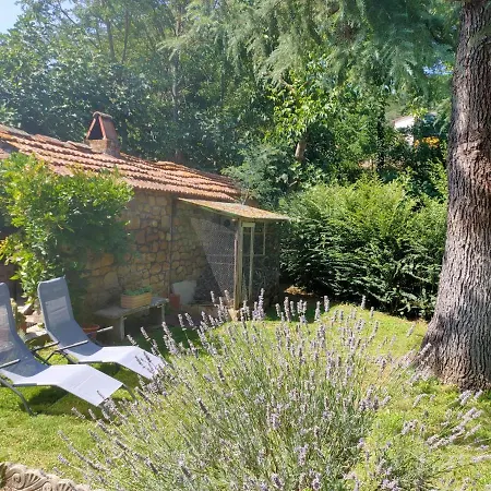 La Rosa Monterchi