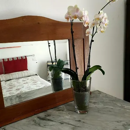 La Rosa Monterchi